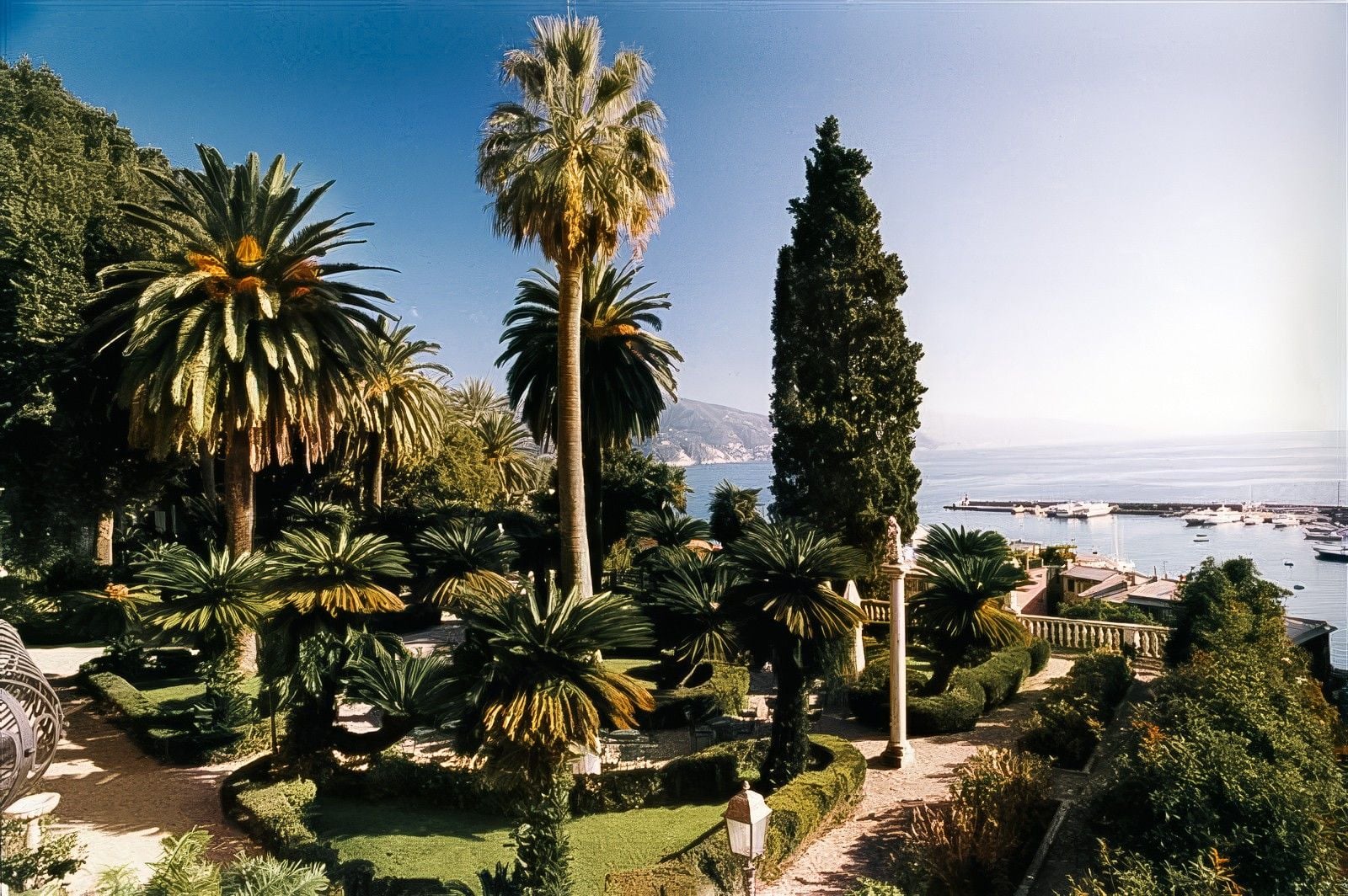 Lush garden with palm trees and manicured hedges overlooking a serene sea and harbor under a clear sky.