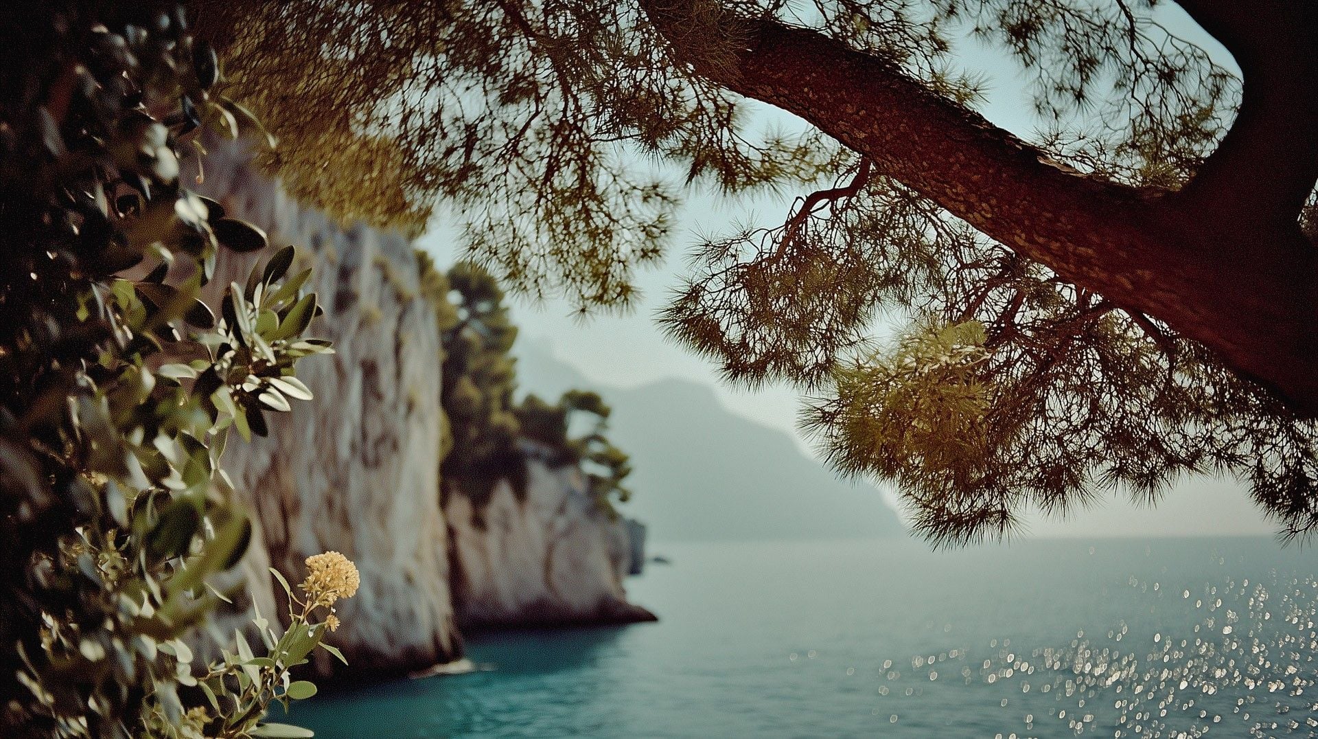 Serene view of a coastal landscape with rocky cliffs, overhanging pine branches, and calm turquoise waters.