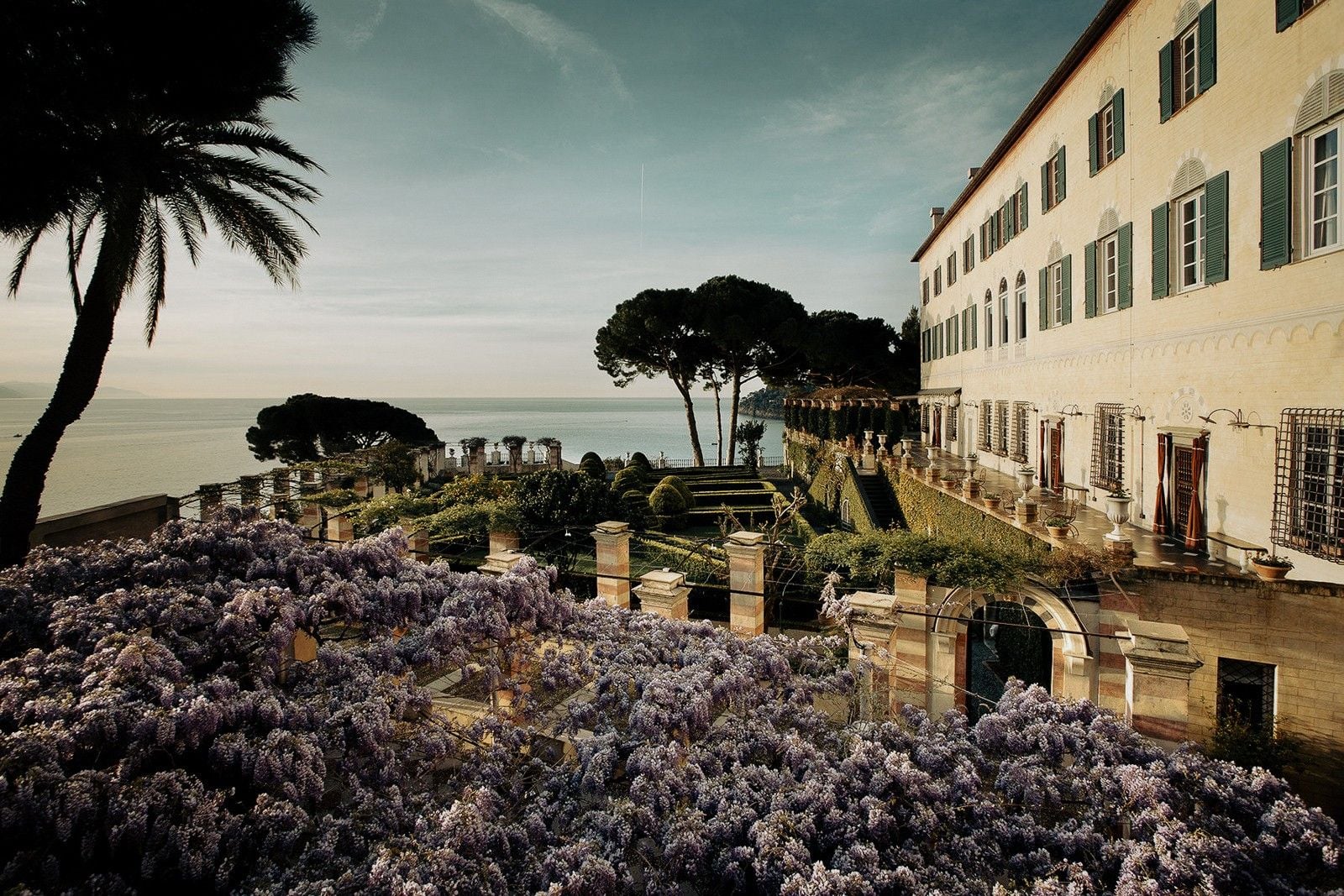 Sunlit garden with blooming wisteria overlooking tranquil waters and elegant architecture under a clear sky.