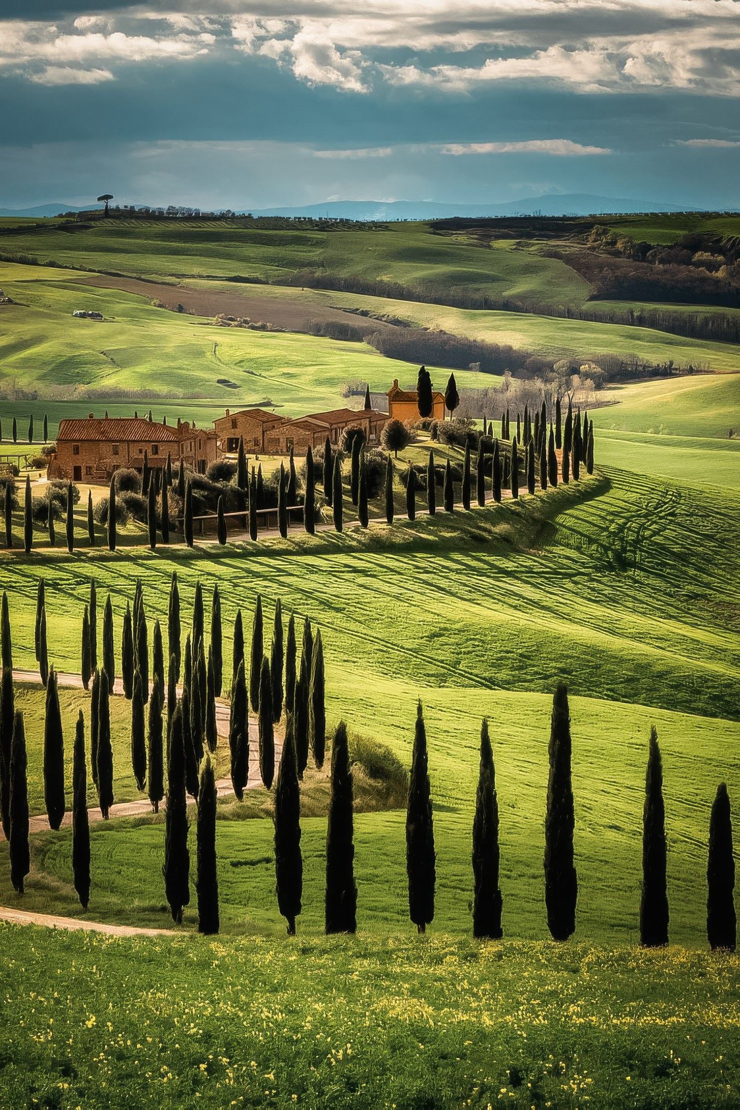 Rolling green hills of Tuscany adorned with tall cypress trees and rustic farmhouses under a dramatic sky.